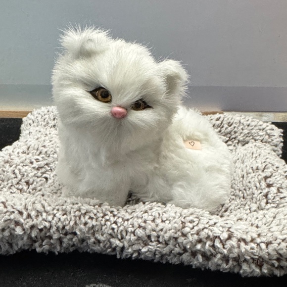 Iumwxz Home Decor Cat Plush Plush Cat (CAT “MEOWS”) - Picture 7 of 7